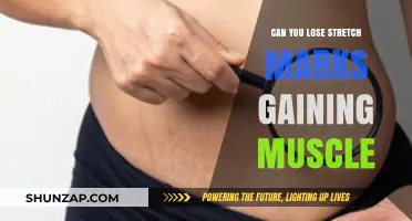 Building Muscle: Can Strength Training Reduce Stretch Marks Effectively?