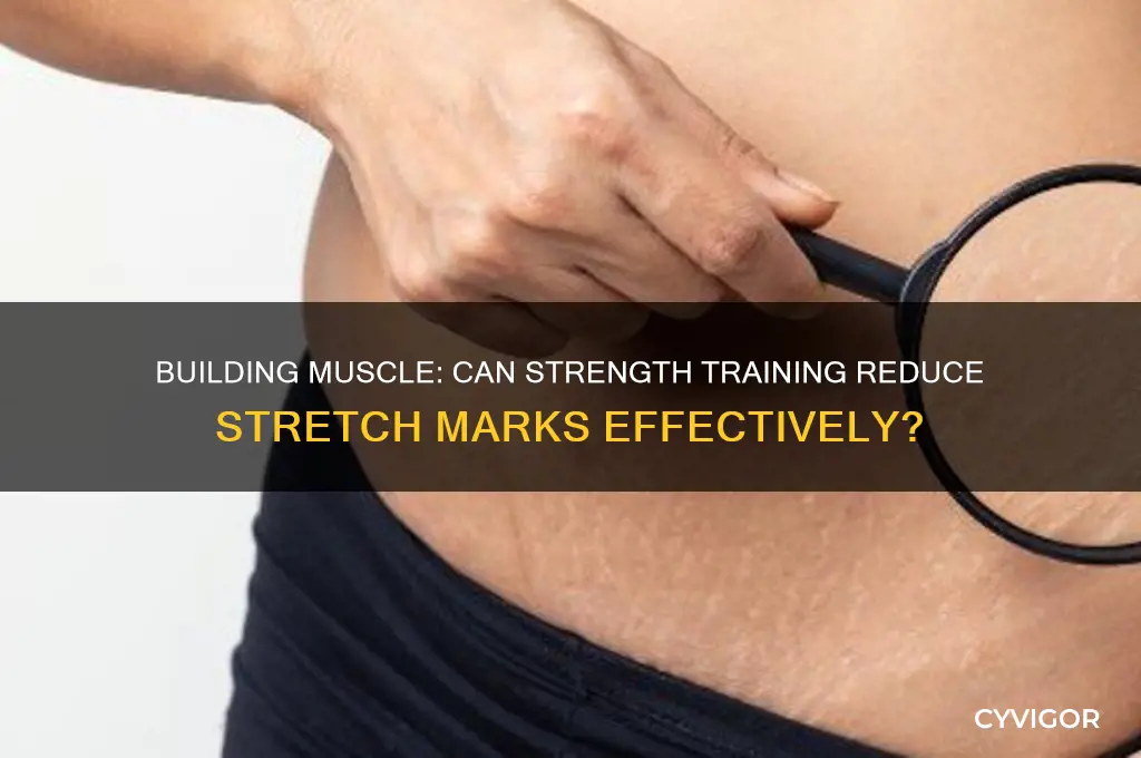 can you lose stretch marks gaining muscle