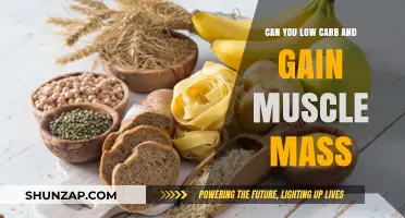 Low Carb Muscle Gain: Myth or Feasible Strategy?