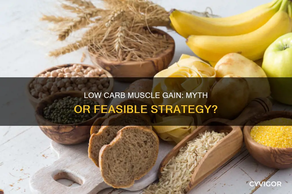 can you low carb and gain muscle mass