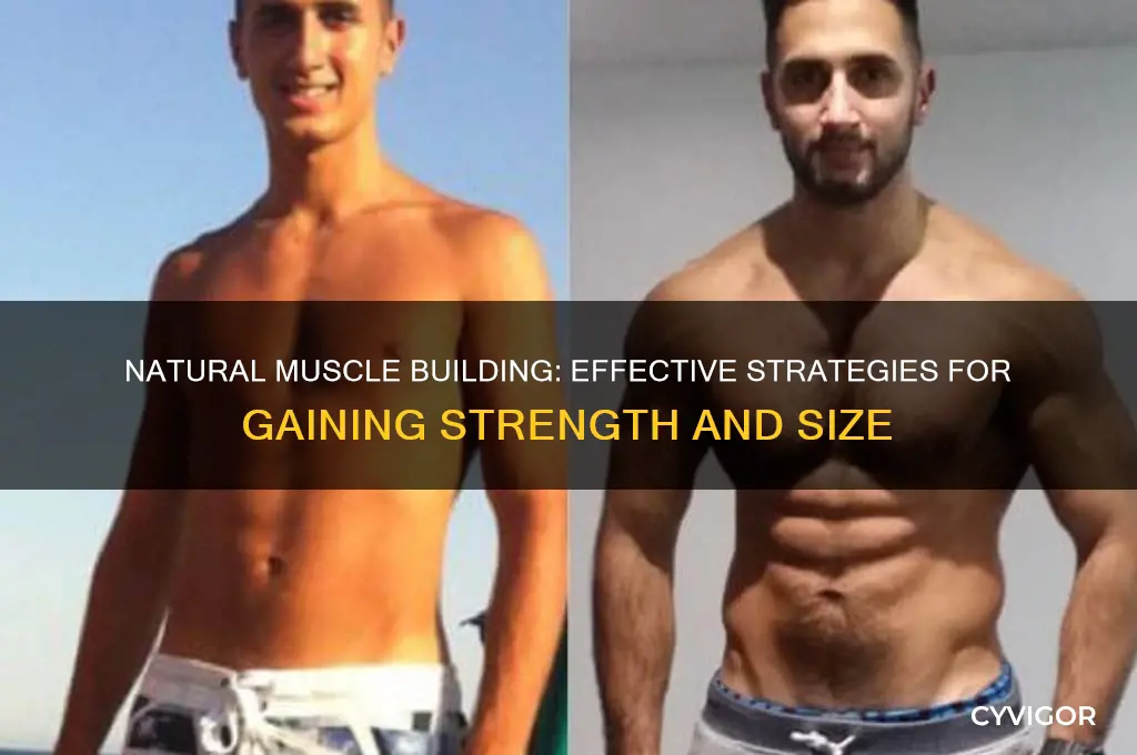 can you naturally gain muscle