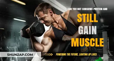Can You Build Muscle Without Protein? Debunking Fitness Myths
