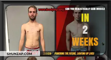 Realistic Muscle Gains: Achieving Results in Just Two Weeks?