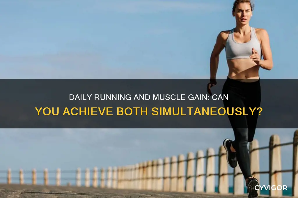 can you run everyday and still gain muscle