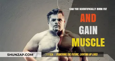 Scientifically Proven Methods to Burn Fat and Build Muscle Simultaneously