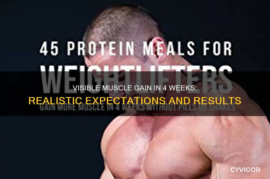 can you see muscle gain in 4 weeks