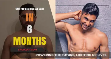 Seeing Muscle Gain in 6 Months: Realistic Expectations and Results