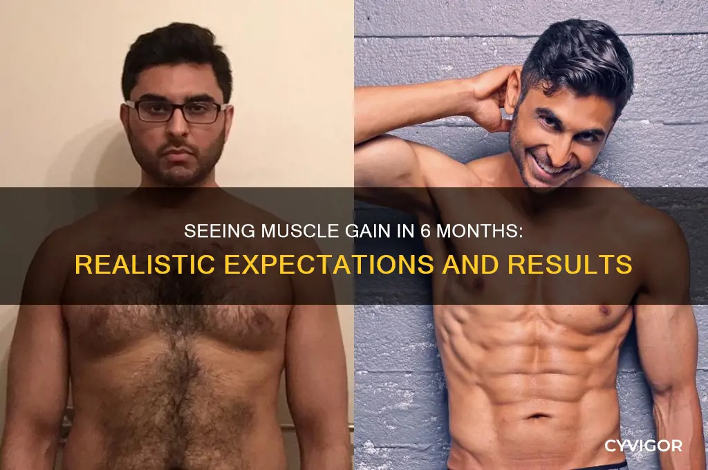 can you see muscle gain in 6 months