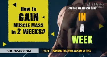 Can You Notice Muscle Growth in Just One Week?