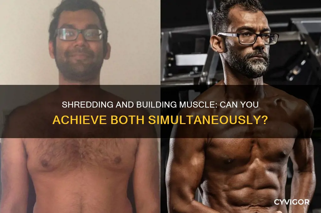 can you shred and gain muscle
