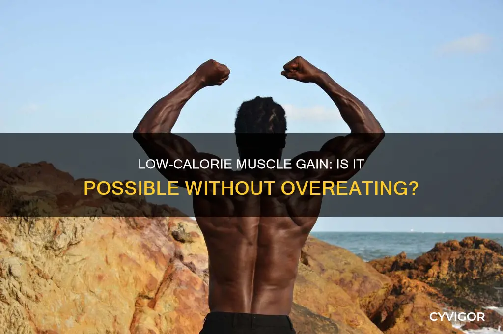 can you still gain muscle if you don