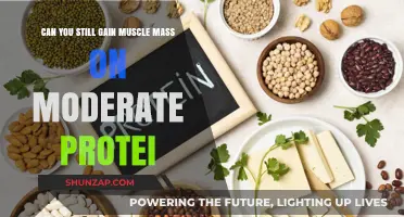 Moderate Protein Intake: Can You Still Build Muscle Mass?