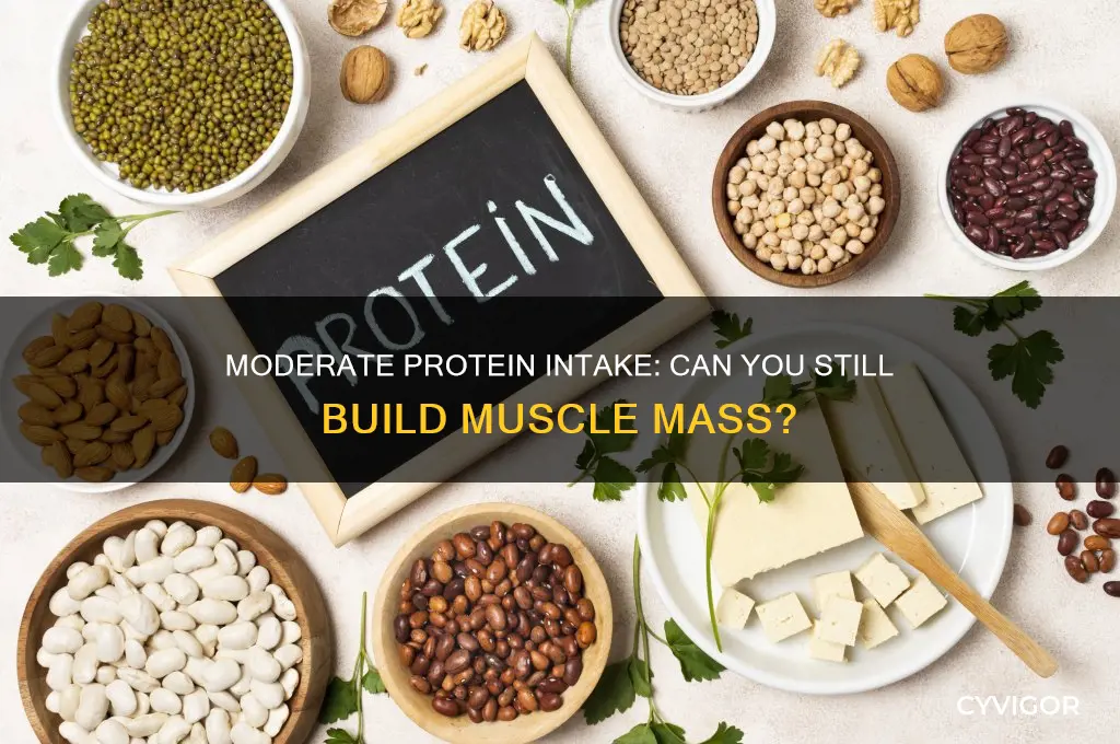 can you still gain muscle mass on moderate protei