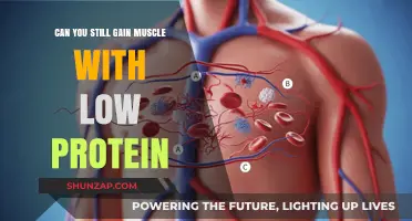 Low Protein, Big Gains: Building Muscle with Minimal Protein Intake