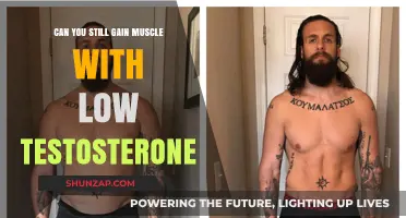 Low Testosterone and Muscle Gain: What’s Still Possible?