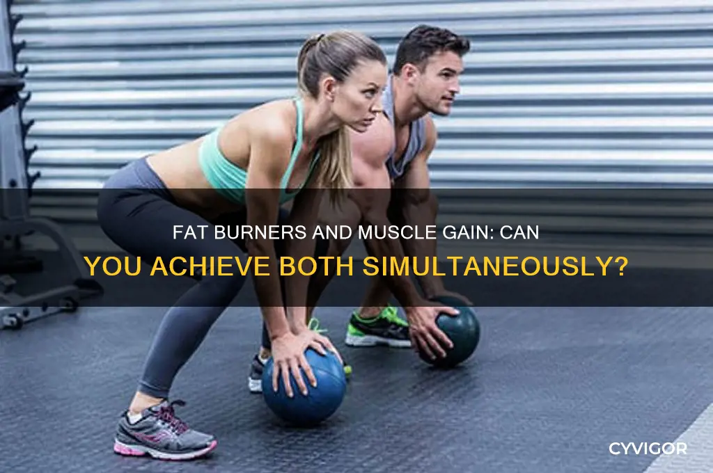 can you take a fat burner and gain muscle
