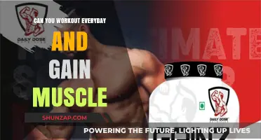 Daily Workouts for Muscle Gain: Effective or Counterproductive?