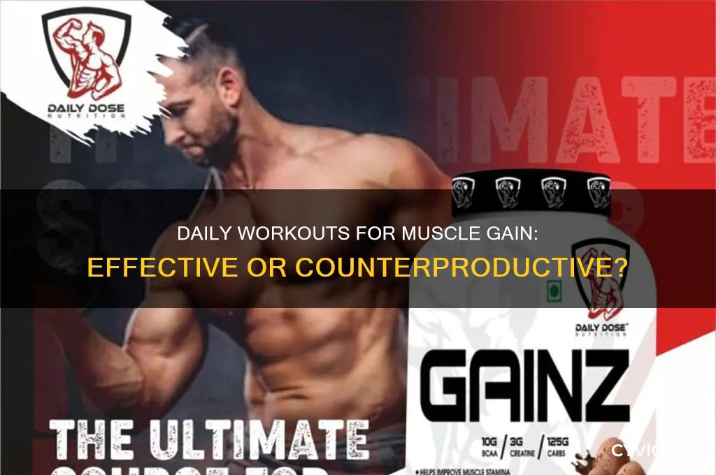 can you workout everyday and gain muscle