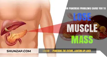Pancreas Problems: The Unseen Link to Muscle Loss