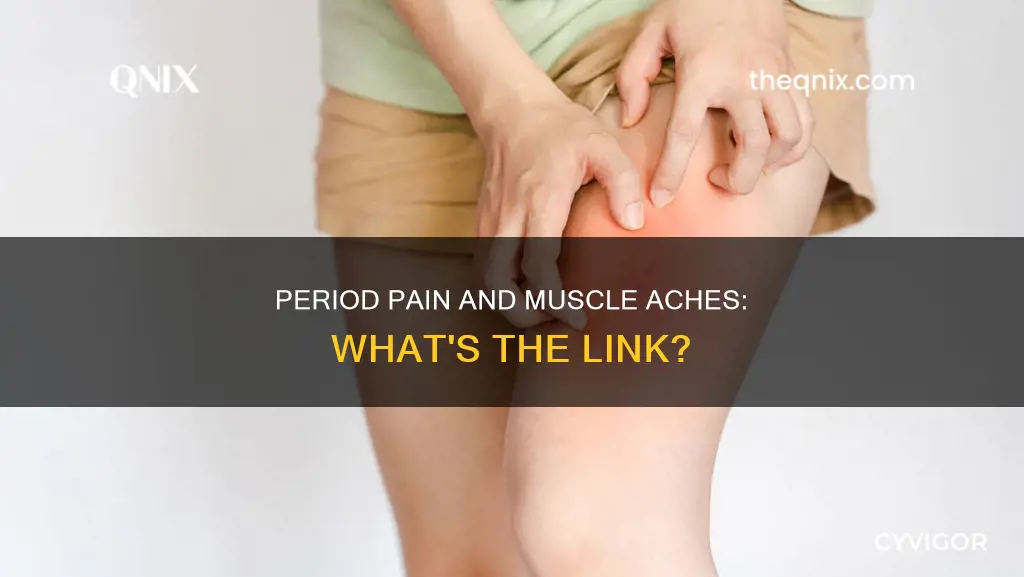 can your period cause muscle aches