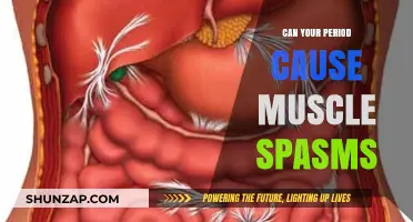 Menstrual Muscle Spasms: What's the Connection?