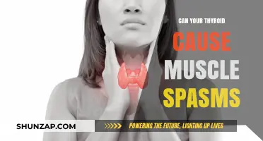 Thyroid Dysfunction: Uncovering the Link to Muscle Spasms