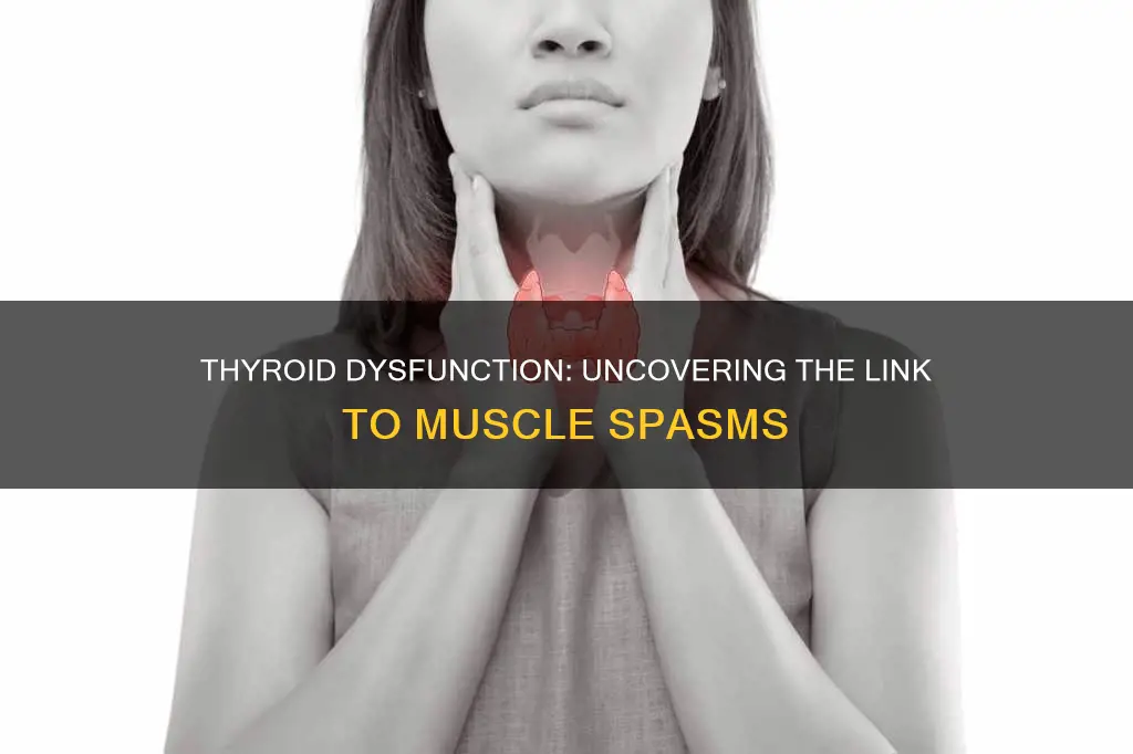 can your thyroid cause muscle spasms