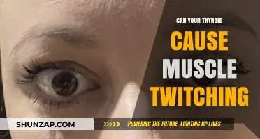 Thyroid and Muscle Twitching: Is There a Link?