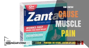 Zantac Side Effects: Muscle Pain Connection