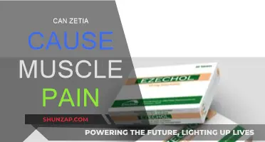 Zetia and Muscle Pain: What's the Link?