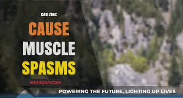 Zinc's Link to Muscle Spasms and Cramps