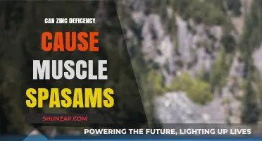 Zinc Deficiency and Muscle Spasms: What's the Connection?