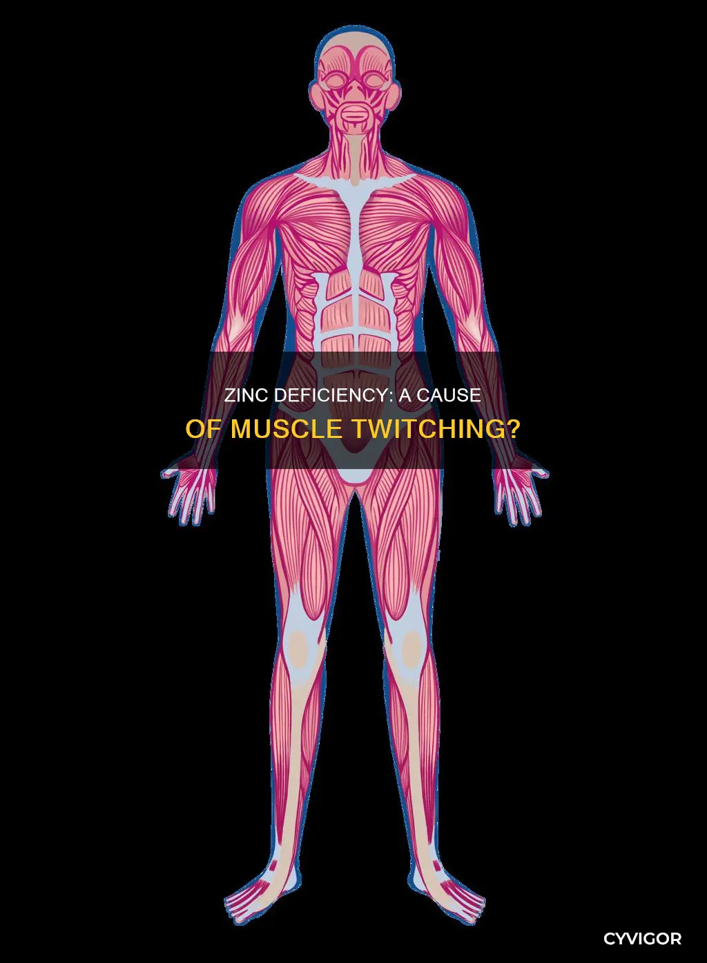 can zinc deficiency cause muscle twitching