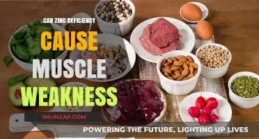 Zinc Deficiency: A Cause of Muscle Weakness?