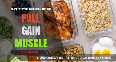 Struggling to Hit 2500 Calories? Muscle Gain Tips for Feeling Full