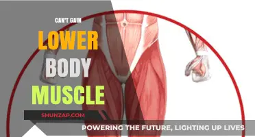 Unlocking Lower Body Growth: Strategies to Overcome Muscle Gain Plateaus