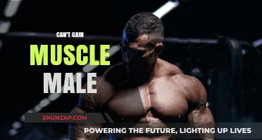 Why Can't I Gain Muscle? Male Fitness Struggles and Solutions