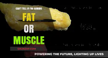 Gaining Fat or Muscle: Decoding Your Body's Transformation Journey