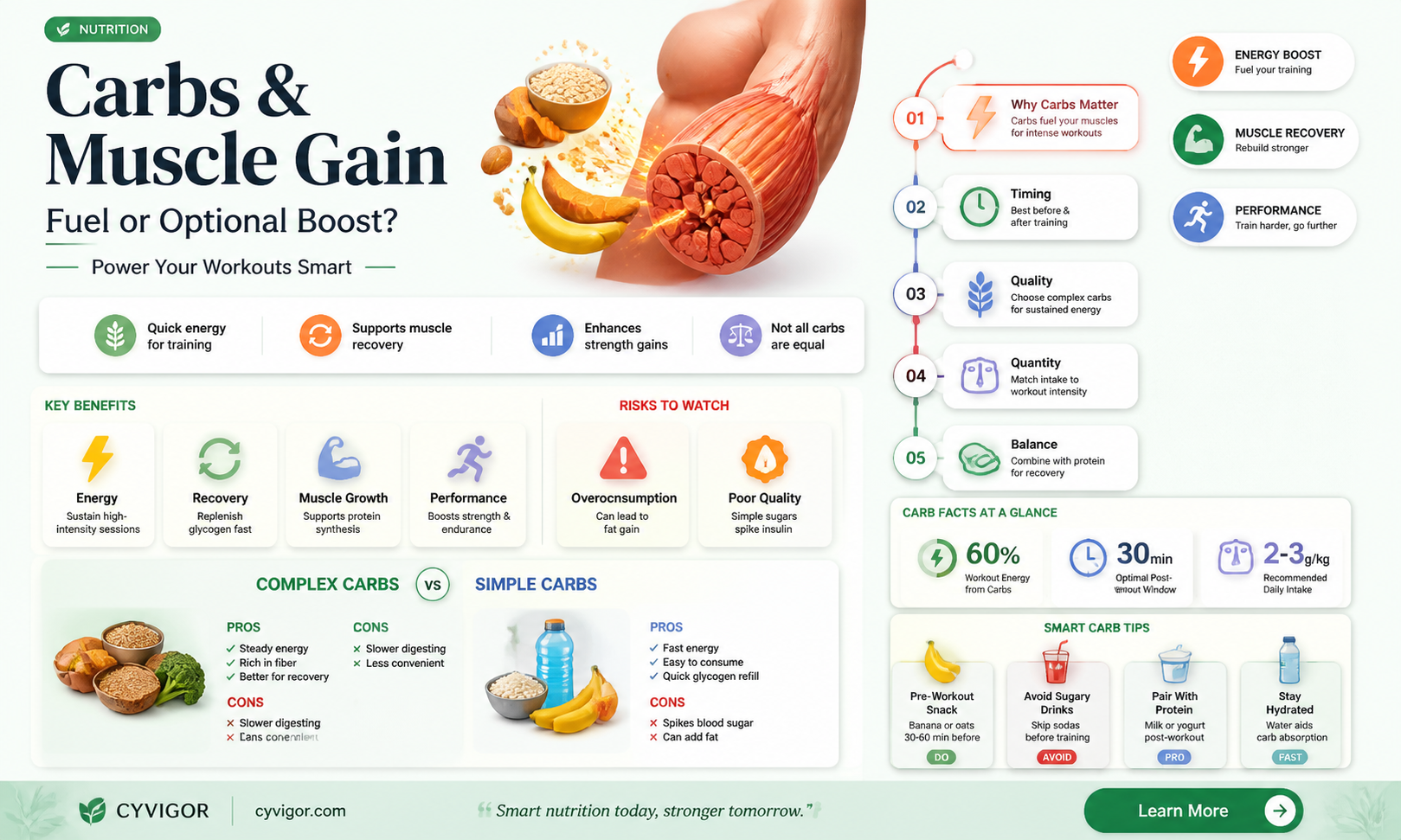 are carbs necessary to gain muscle