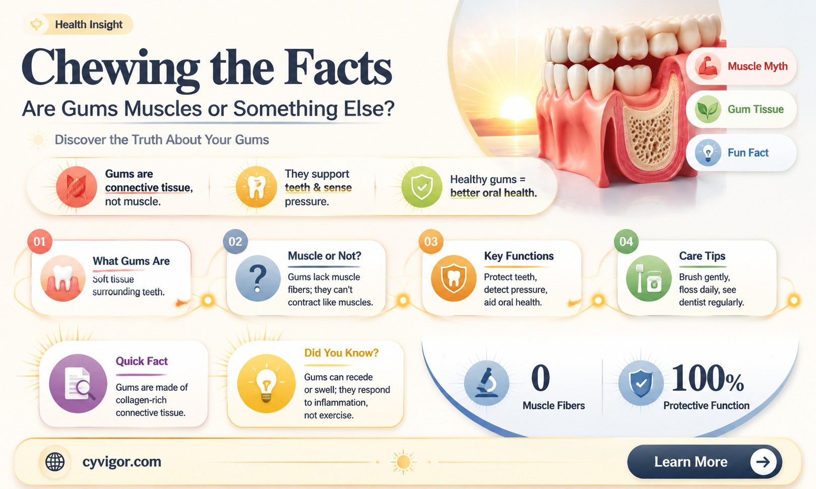 are gums a muscle