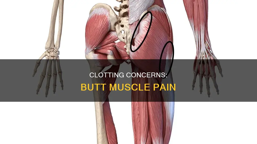 could a clot cause a butt muscle to hurt