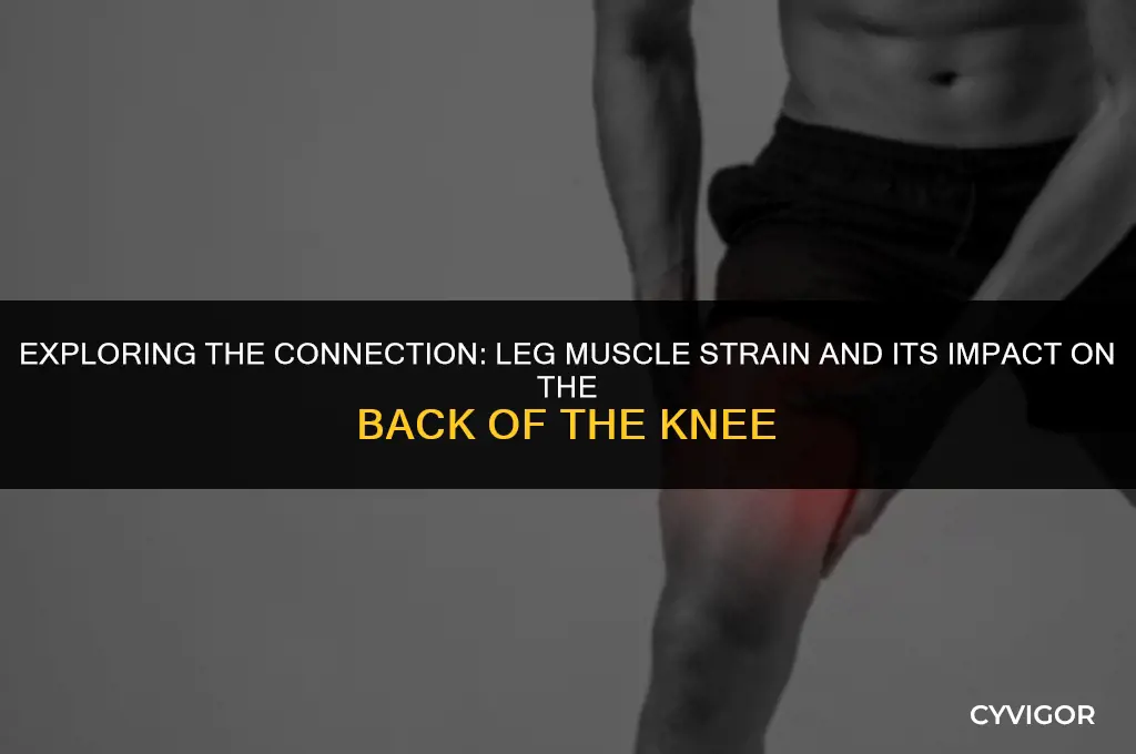 could a leg muscle strain also affect back of knee