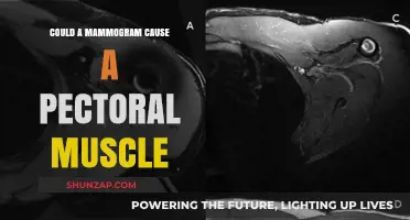 Mammogram Risks: Pectoral Muscle Injury