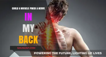 Could a Muscle Pinch a Nerve in My Back?