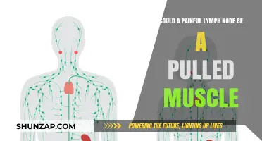 Painful Lymph Node or Pulled Muscle: Understanding the Difference