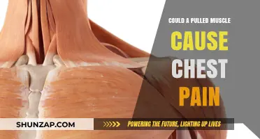 Pulled Muscle and Chest Pain: What's the Link?