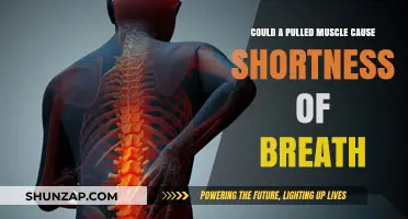 Pulled Muscle and Shortness of Breath: What's the Link?