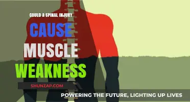 Spinal Injury: Understanding Muscle Weakness Causes