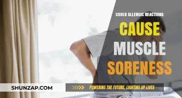 Allergies and Muscle Soreness: What's the Connection?