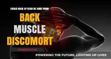Back Muscle Discomfort: Can It Cause Sore Back of Head?
